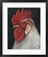 Framed Rooster Portrait II