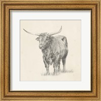 Framed Longhorn Steer Sketch I