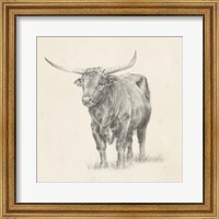 Framed Longhorn Steer Sketch I