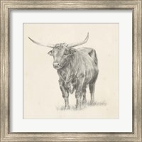 Framed Longhorn Steer Sketch I