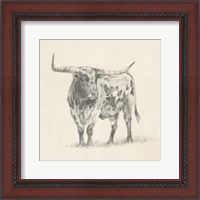 Framed Longhorn Steer Sketch II