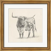 Framed Longhorn Steer Sketch II