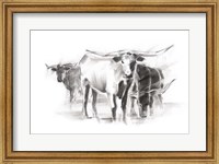 Framed Contemporary Cattle II