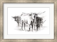 Framed Contemporary Cattle II