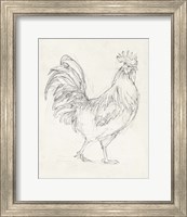 Framed 'Rooster Sketch I' border=