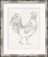 Framed Rooster Sketch I