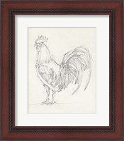 Framed Rooster Sketch II