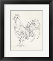 Framed Rooster Sketch II