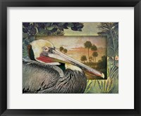 Framed Pelican Paradise I