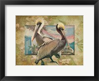 Framed Pelican Paradise IV