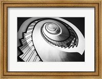 Framed Parrot Staircase  Black/White