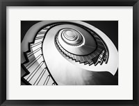 Framed Parrot Staircase  Black/White