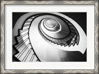 Framed Parrot Staircase  Black/White