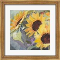 Framed 'Sunflowers in Watercolor I' border=