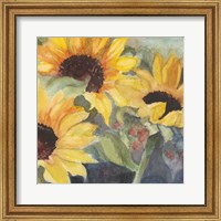 Framed Sunflowers in Watercolor II