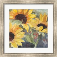 Framed 'Sunflowers in Watercolor II' border=