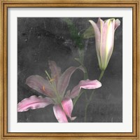 Framed Fleur de Lys II