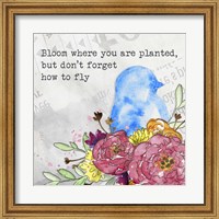 Framed Bloom & Fly II