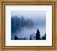 Framed Misty Mountains XV