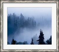 Framed Misty Mountains XV