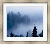 Framed Misty Mountains XV