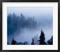 Framed Misty Mountains XV