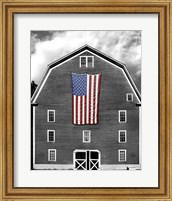 Framed Flags of Our Farmers XIX