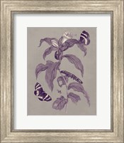 Framed Nature Study in Plum & Taupe I