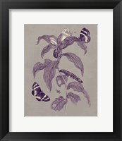 Framed 'Nature Study in Plum & Taupe I' border=