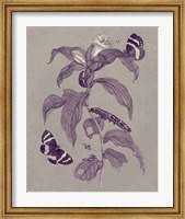 Framed Nature Study in Plum & Taupe I