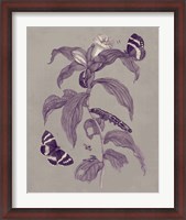 Framed Nature Study in Plum & Taupe I