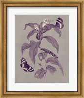 Framed Nature Study in Plum & Taupe I