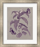 Framed Nature Study in Plum & Taupe I