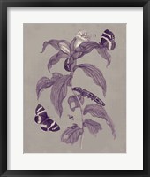 Nature Study in Plum & Taupe I Framed Print