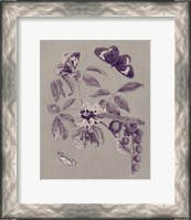 Framed Nature Study in Plum & Taupe II
