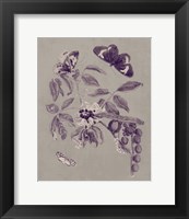 Framed Nature Study in Plum & Taupe II