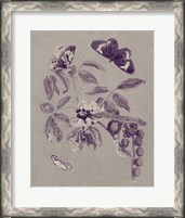 Framed 'Nature Study in Plum & Taupe II' border=