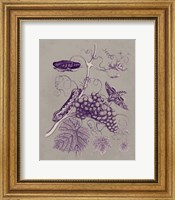 Framed 'Nature Study in Plum & Taupe III' border=