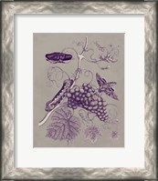 Framed Nature Study in Plum & Taupe III