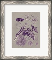 Framed 'Nature Study in Plum & Taupe III' border=