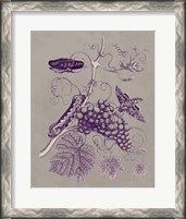 Framed 'Nature Study in Plum & Taupe III' border=