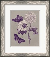 Framed Nature Study in Plum & Taupe IV