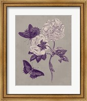 Framed Nature Study in Plum & Taupe IV