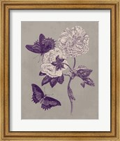Framed 'Nature Study in Plum & Taupe IV' border=