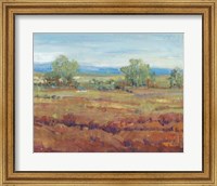 Framed Red Clay II