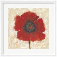 Framed Red Poppy Portrait II