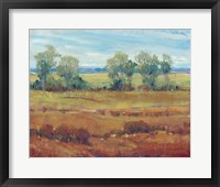 Red Clay I Framed Print