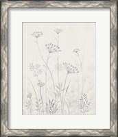 Framed 'Neutral Queen Anne's Lace I' border=