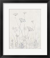 Framed 'Neutral Queen Anne's Lace I' border=