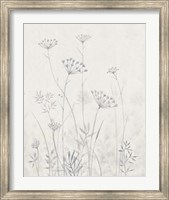 Framed Neutral Queen Anne's Lace I